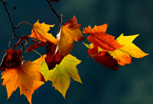 1685594474518317.png image.png