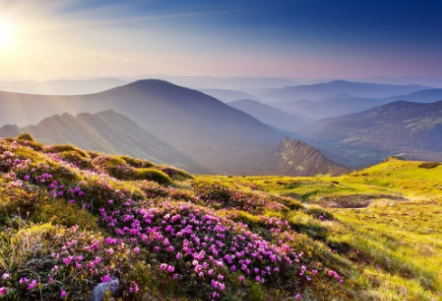 1685594973323598.png image.png