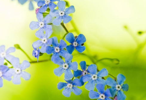 1685595140676330.png image.png