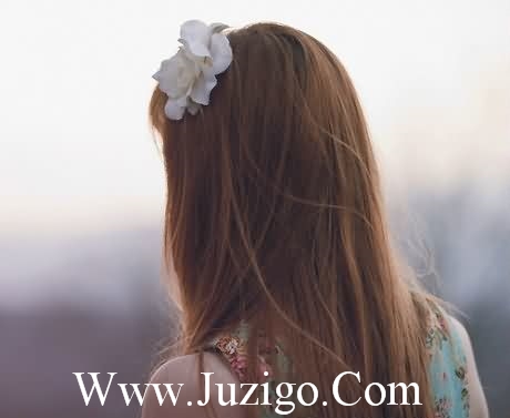 人生感悟的句子简短的说(精选31句)