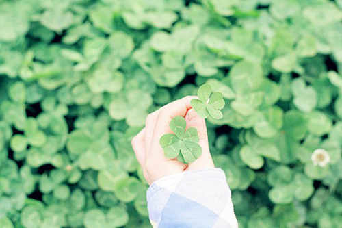 晚上发自拍的搞笑说说(精选88句)