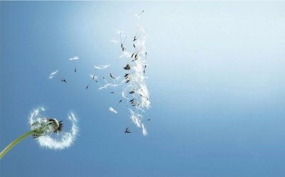 ​适合女生的霸气说说配图大全(40句)