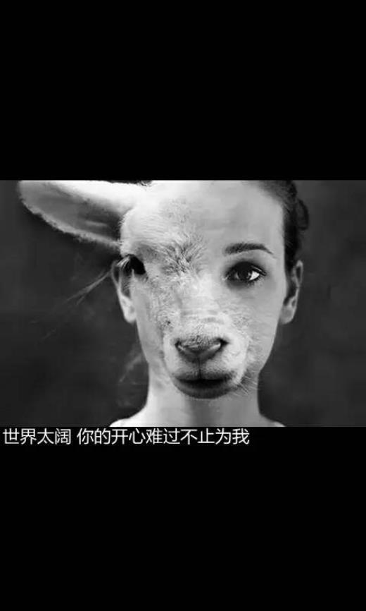 关于中国的励志名言