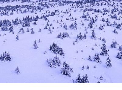 超级搞笑幽默说说