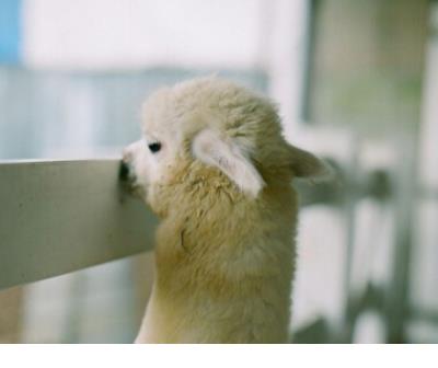 关于晒自己做饭的说说