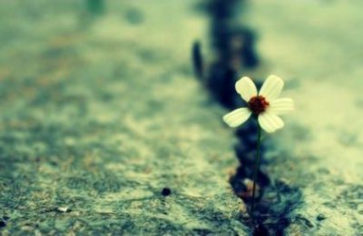 ​圈子越来越小的说说 药学人的圈子