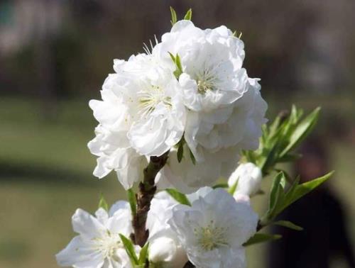 一辈子兄弟生日快乐的说说霸气