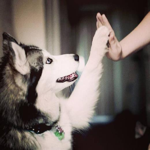 霸气看透兄弟的说说