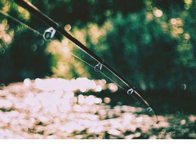 人生感言适合发朋友圈