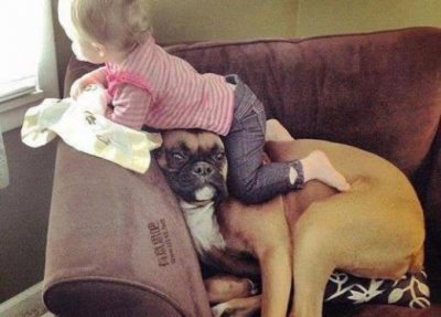 ​微信朋友圈早安心语（12月早安语录简短？）