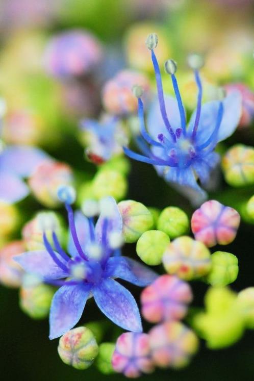 2023年春节新年贺词（新年祝福语八个字）