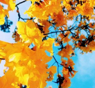 ​清洗热水器的说说（七夕情人节搞笑说说）