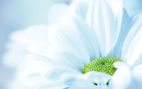 最难懂的是人心说说 人心这个东西的说说