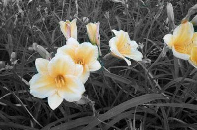 ​朋友圈可发的酒后心情 喝酒精辟俏皮话(30句)