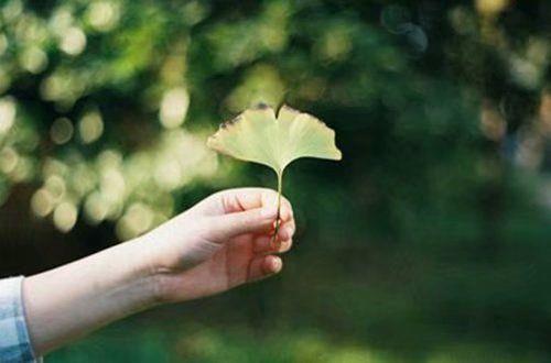 游乐场朋友圈配文简单