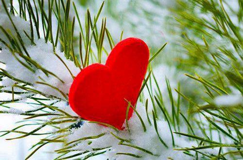 经一事长一智感悟句子 吃一堑长一智朋友圈说说