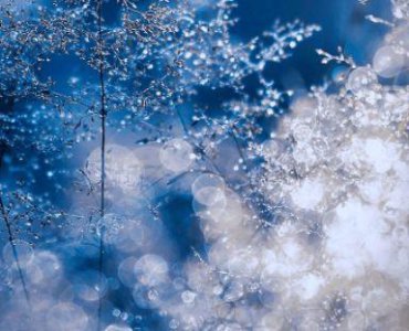 ​简洁的朋友圈正能量句子90条