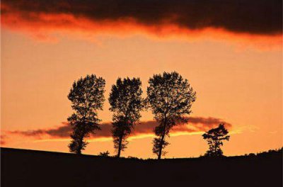 ​qq空间幸福爱情说说79句