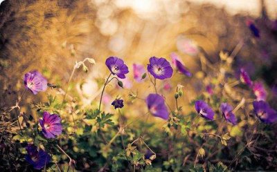 ​适合发朋友圈的励志短句 早安精辟语句摘抄23句