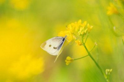​很早起床发朋友圈的句子(精选29句)