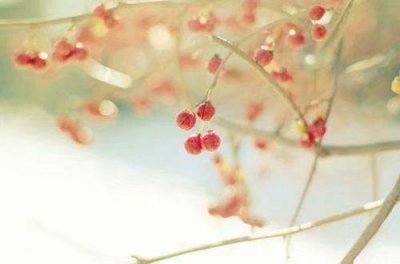 ​伤心说不出的痛的句子