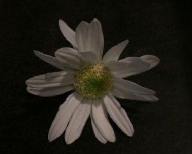 ​享受美食惬意的说说句子 适合发朋友圈的下午茶文案收录24句