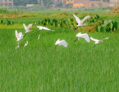 ​十一月你好朋友圈文案2025年(精选75句)