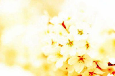 ​早安2025最新发朋友圈 清晨问候早安语录推荐80句