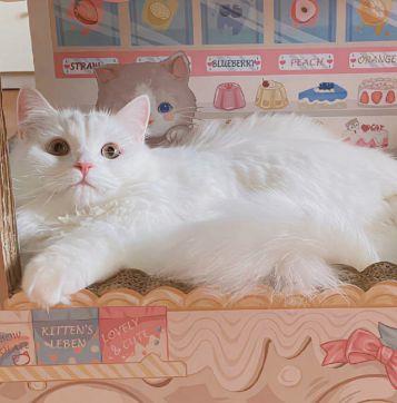 给好朋友的思念句子