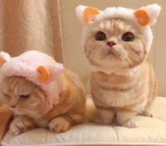 ​关于被朋友背叛的句子75句