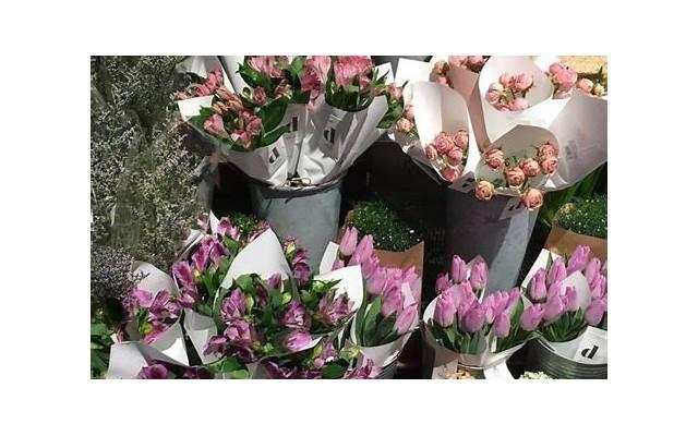 适合发朋友圈兄弟情句10字(适合发朋友圈兄弟情句10字以内) 适合发朋友圈兄弟情句10字(适合发朋友圈兄弟情句10字以内)