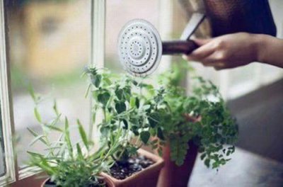 ​中秋节月饼走心文案2025 中秋节月饼礼盒宣传文案(精选77句)