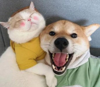 ​2025立秋文案唯美配文大全(精选56句)