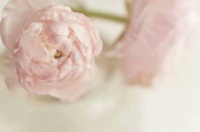 ​2025中秋节快乐文案(精选78句)