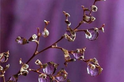 ​2025双十一文案(精选64句)