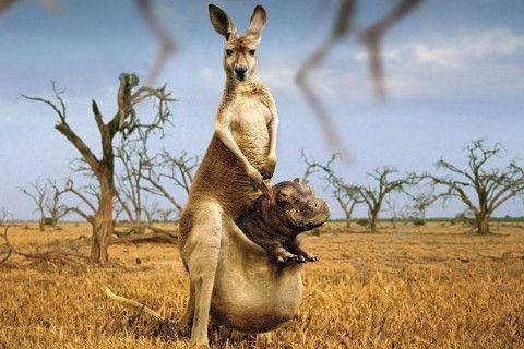 适合摘抄在手账本上的文案