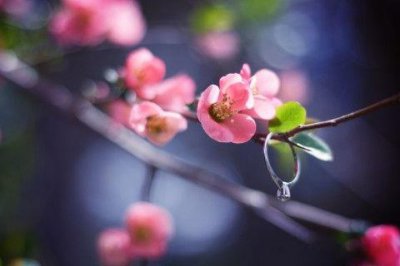 ​晚餐的文案的句子(精选35句)