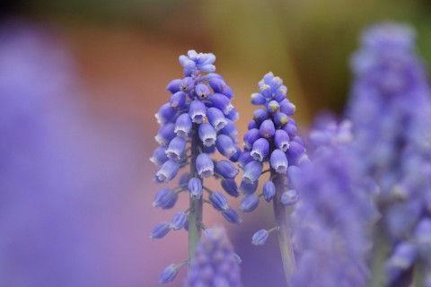 一句话赞美蓝天白云