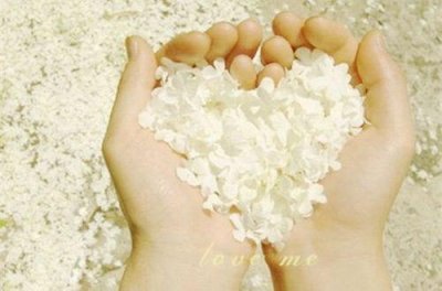 ​男人成熟感情语录大全(精选90句)