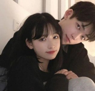 ​感悟生命的美好句子 感悟生命美好的优美句子(精选83句)