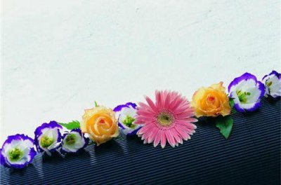 ​最新毒鸡汤语录搞笑句子 讽刺毒鸡汤的句子(精选76句)