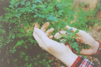 ​送给青春女孩子的正能量语录(43句)