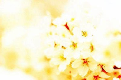 ​名著的歇后语83句