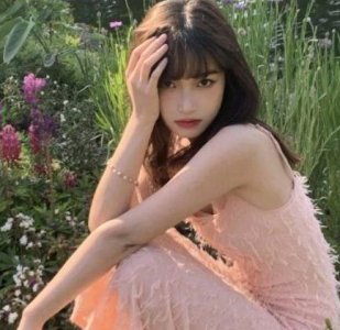 ​有关猪的歇后语82句