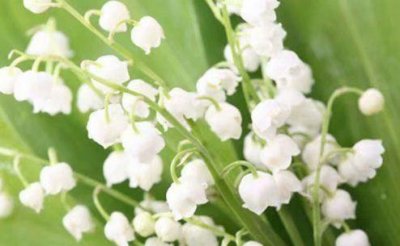 ​歇后语火83句