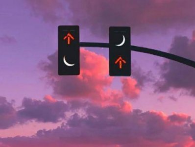 ​老鼠歇后语大全75句