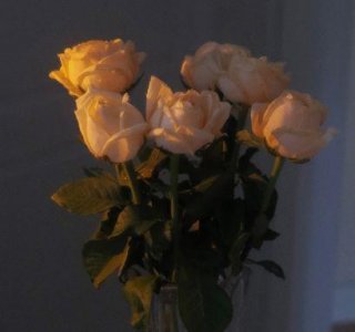 ​四大名著歇后语大全81句