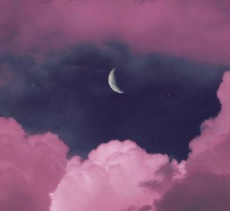 ​老鼠的歇后语80句