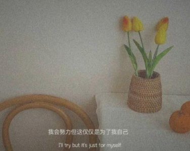 ​二歇后语82句