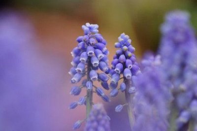 ​小学的歇后语大全及答案83句